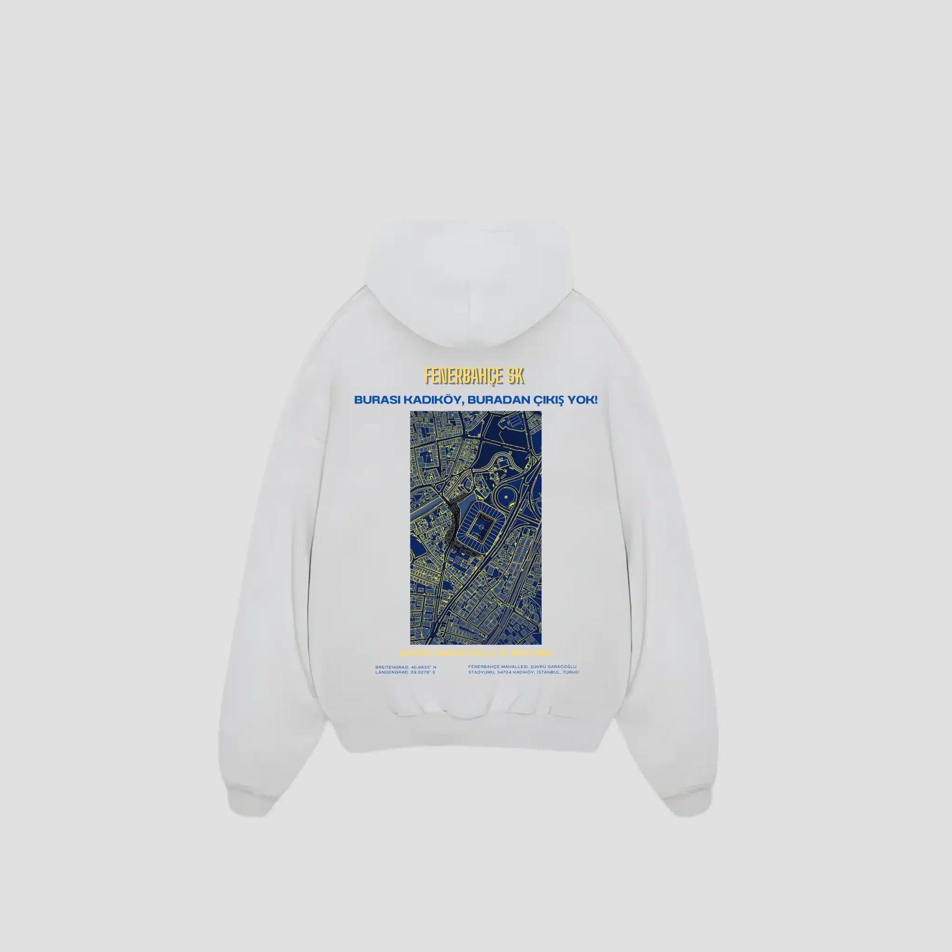 FENERBAHCE - Oversized Hoodie Backprint Printegy