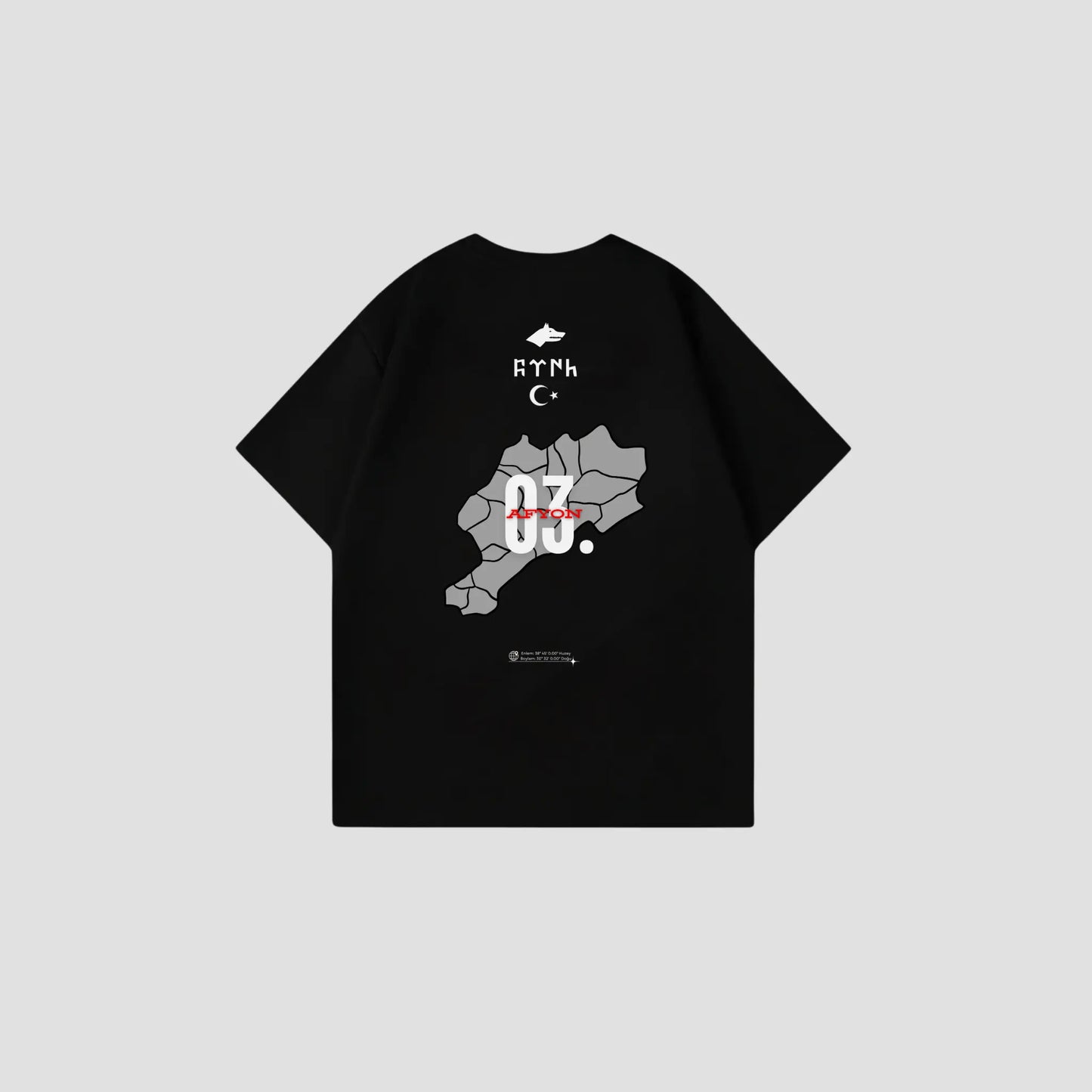 AFYON 03 - Oversize Shirt Backprint Printegy