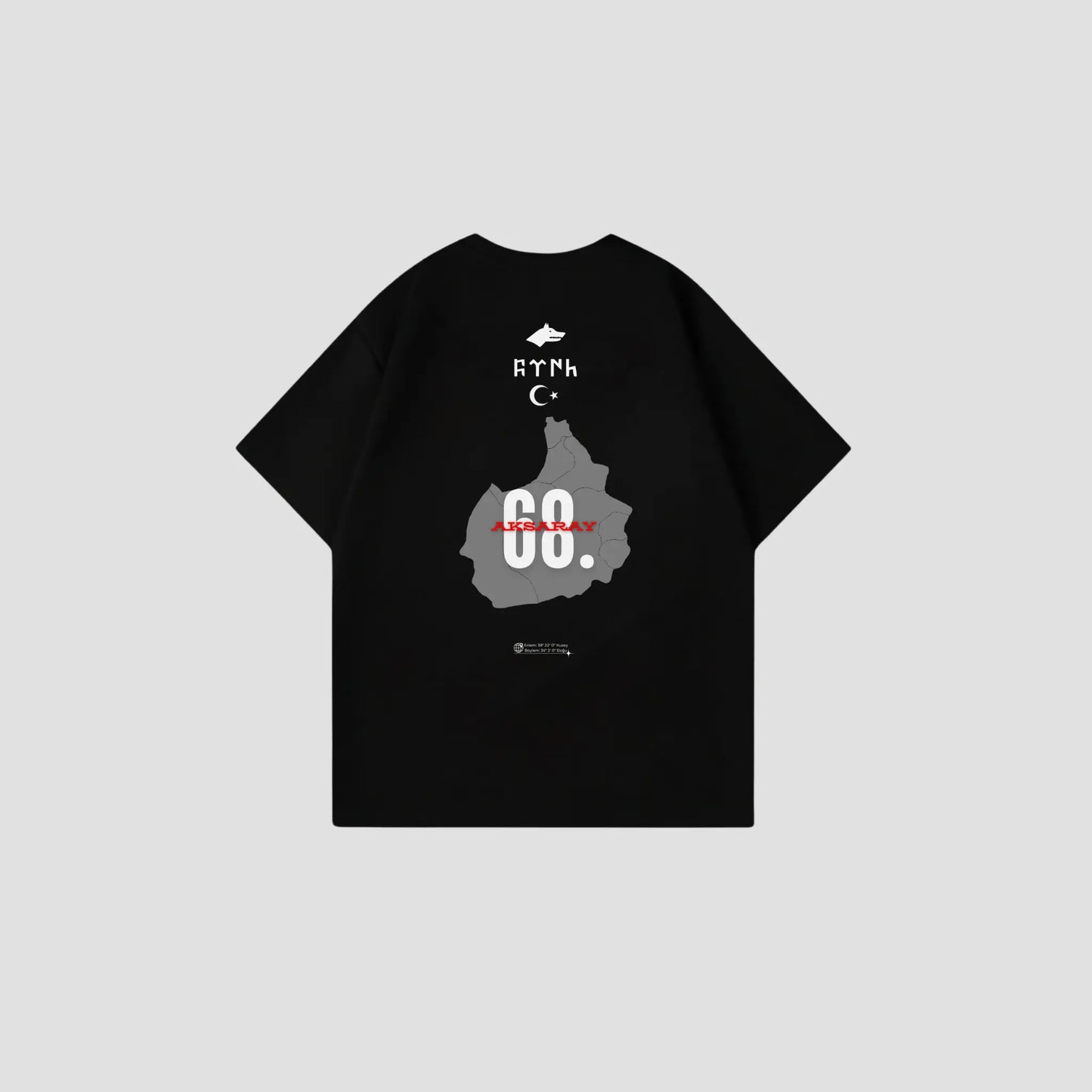 AKSARAY 68 - Oversize Shirt Backprint Printegy