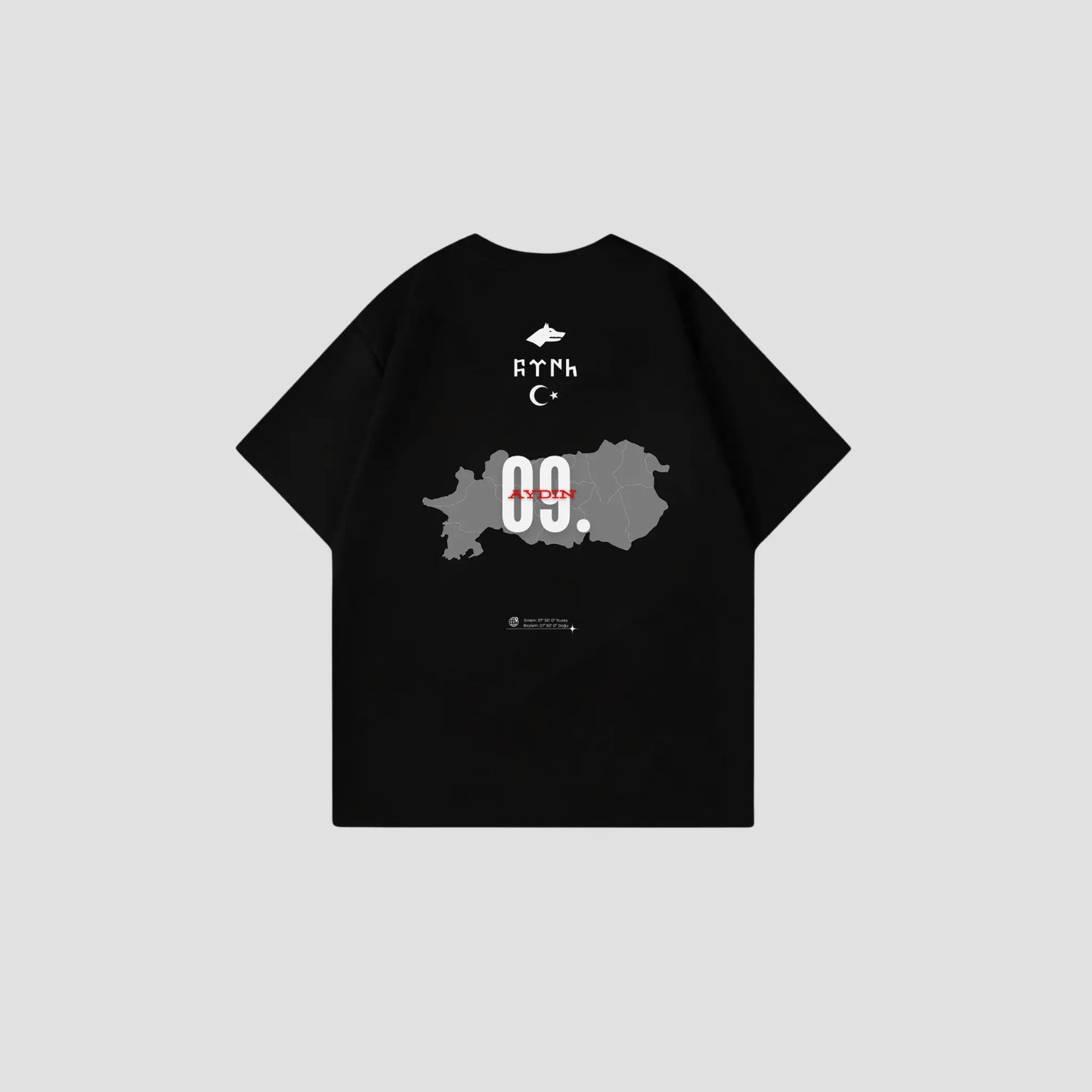 AYDIN 09 - Oversize Shirt Backprint Printegy
