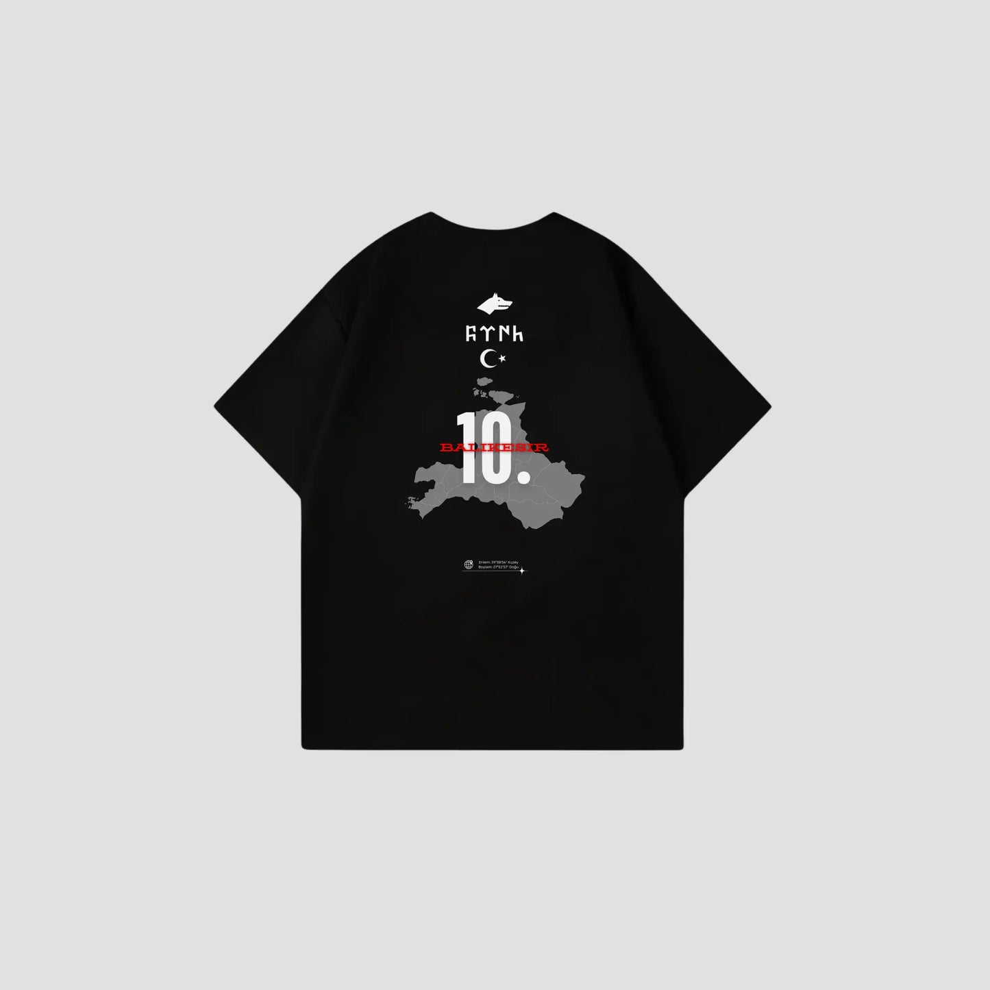BALIKESIR 10 - Oversize Shirt Backprint Printegy