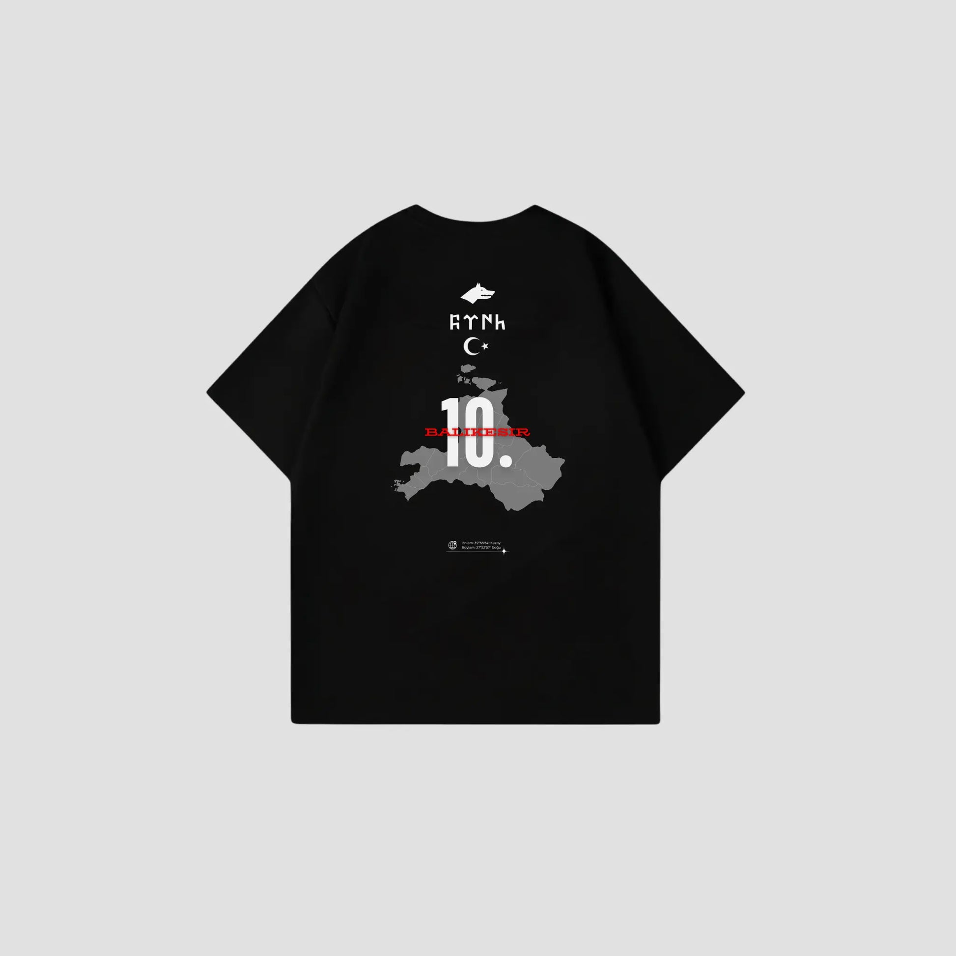 BALIKESIR 10 - Oversize Shirt Backprint Printegy