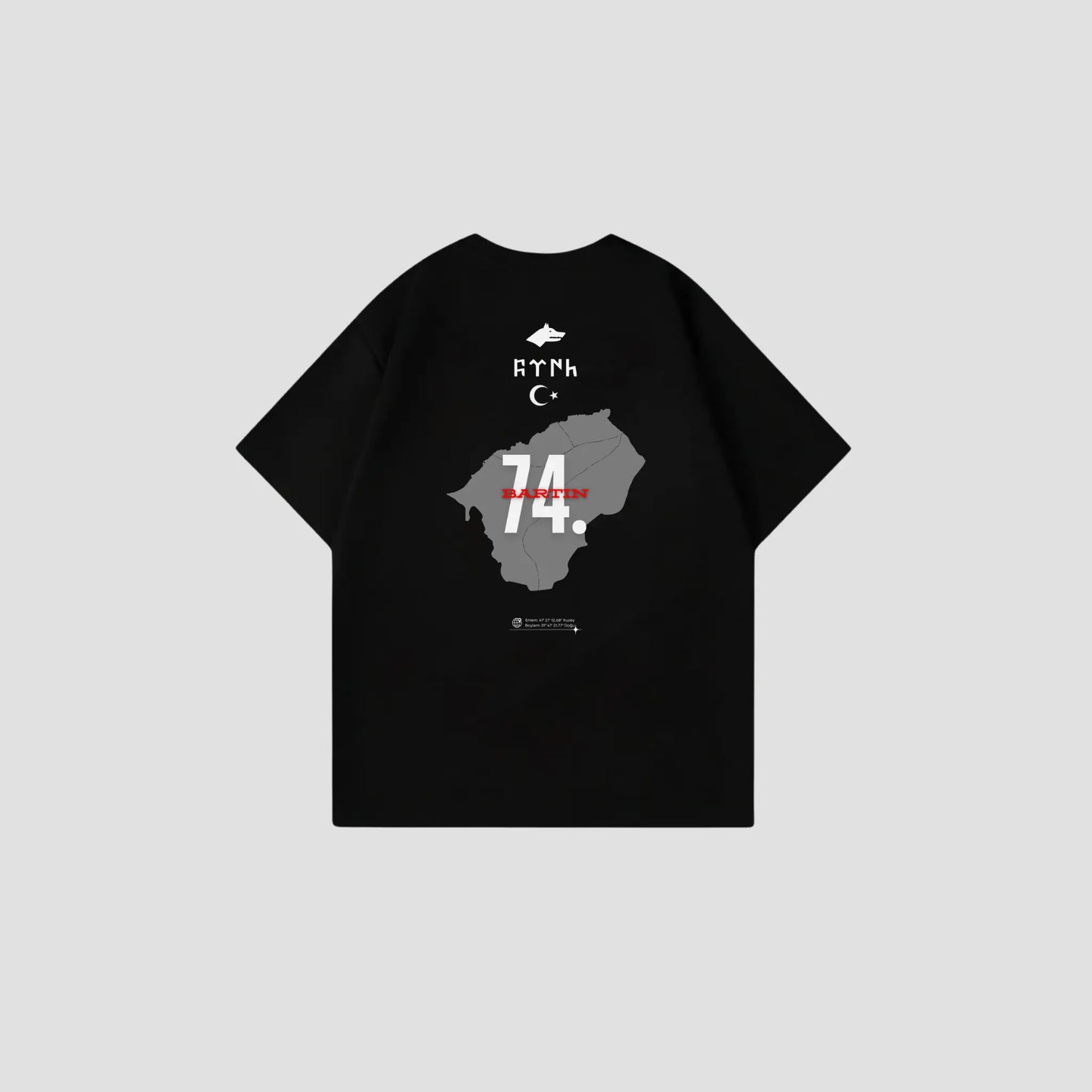 BARTIN 74 - Oversize Shirt Backprint Printegy