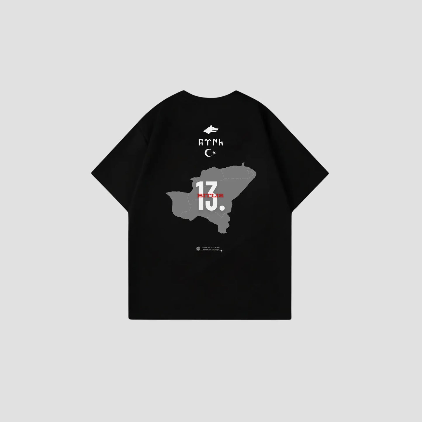 BITLIS 13 - Oversize Shirt Backprint Printegy