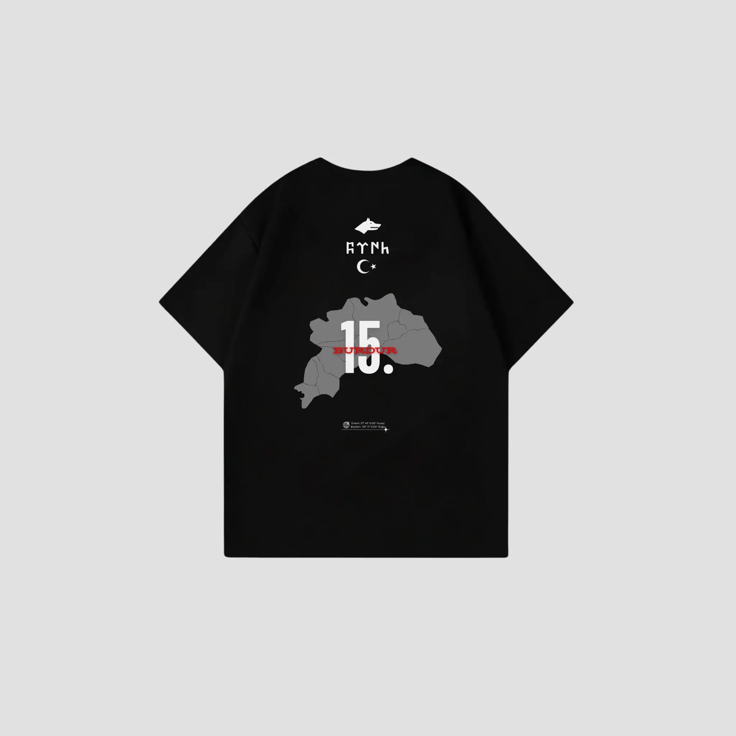 BURDUR 15 - Oversize Shirt Backprint Printegy