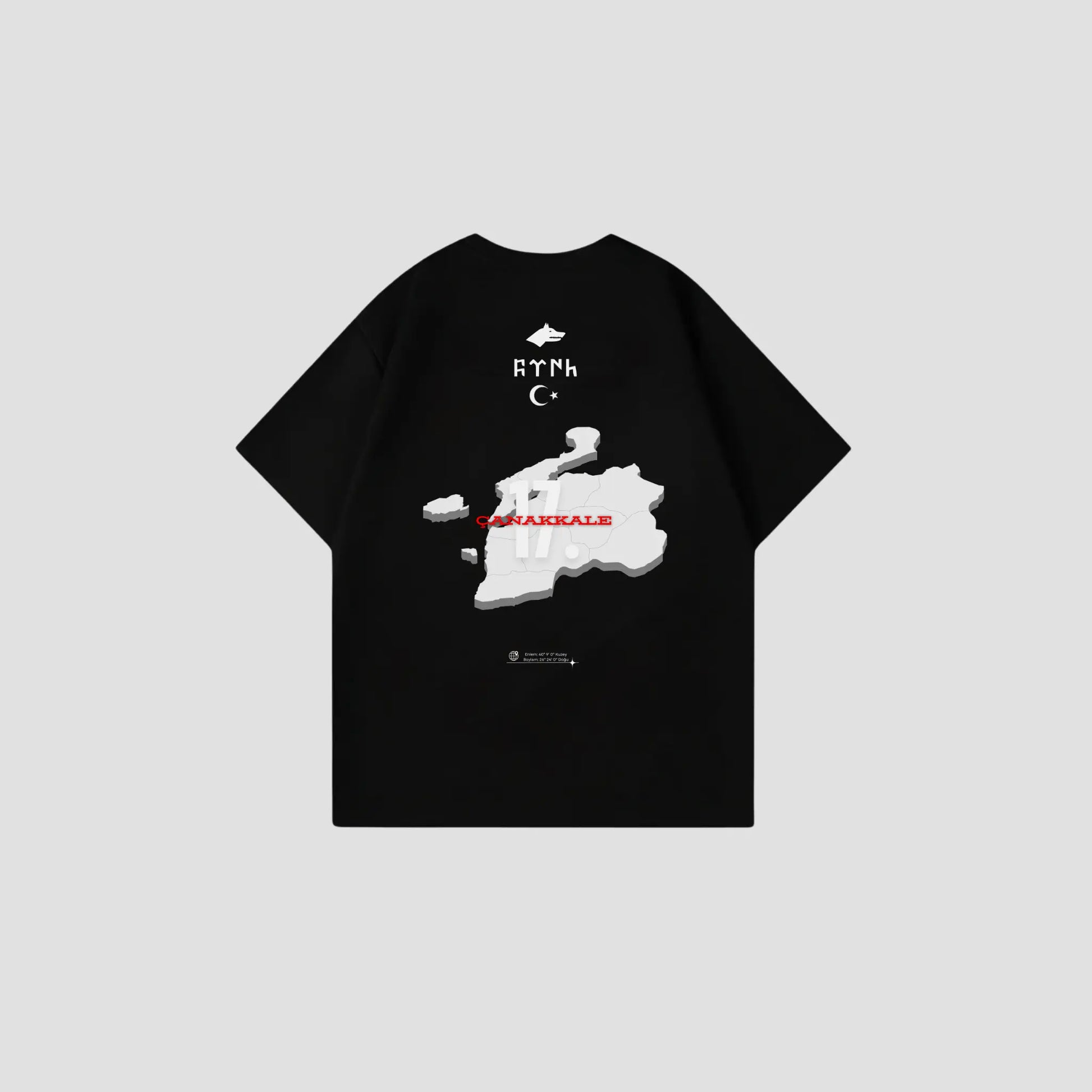 CANAKKALE 17 - Oversize Shirt Backprint Printegy