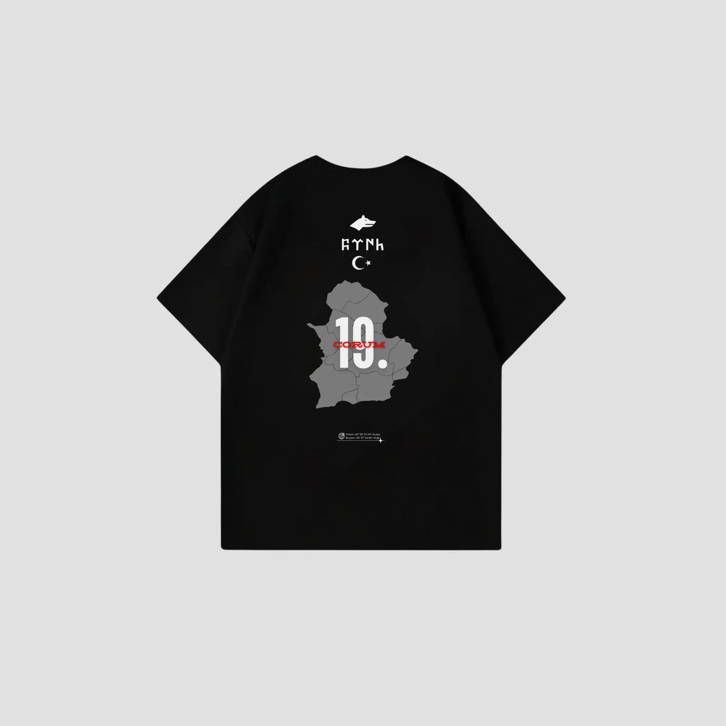 CORUM 19 - Oversize Shirt Backprint Printegy