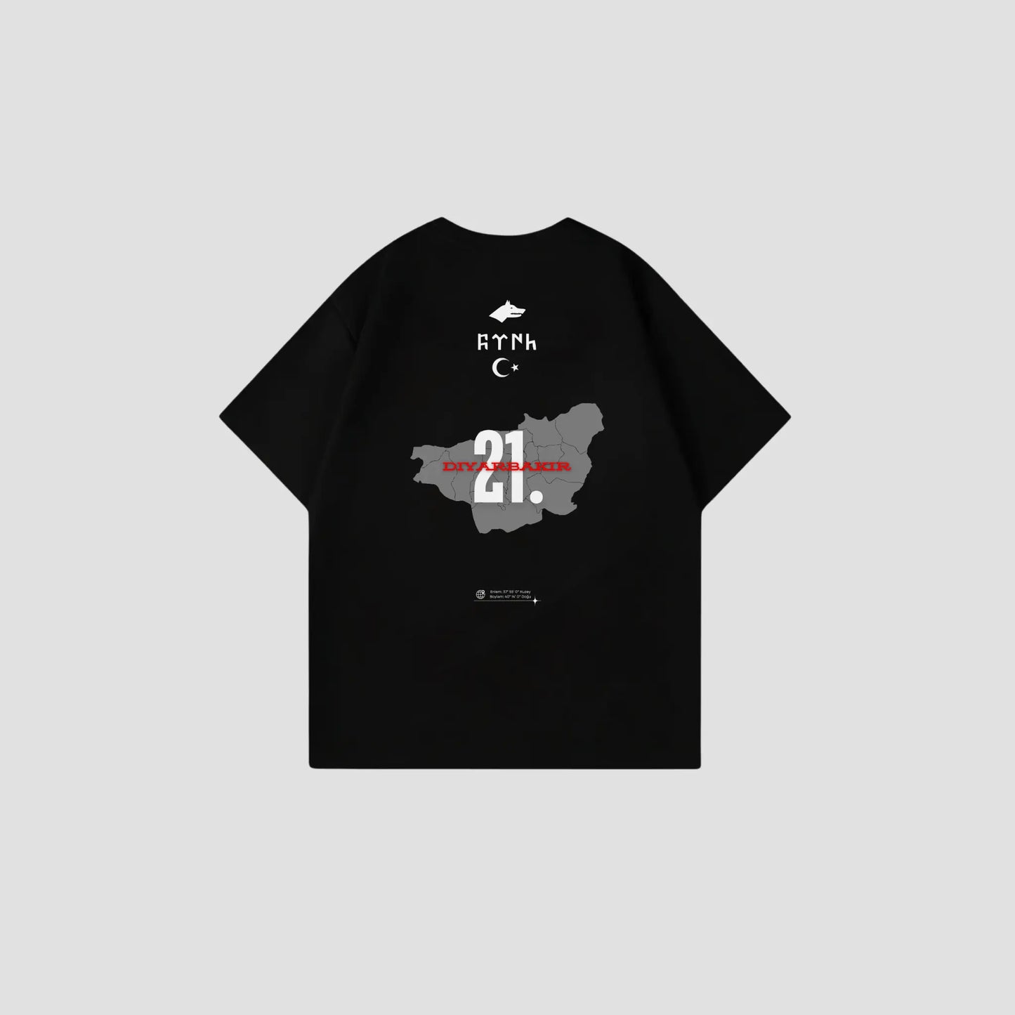 DIYARBAKIR 21 - Oversize Shirt Backprint Printegy