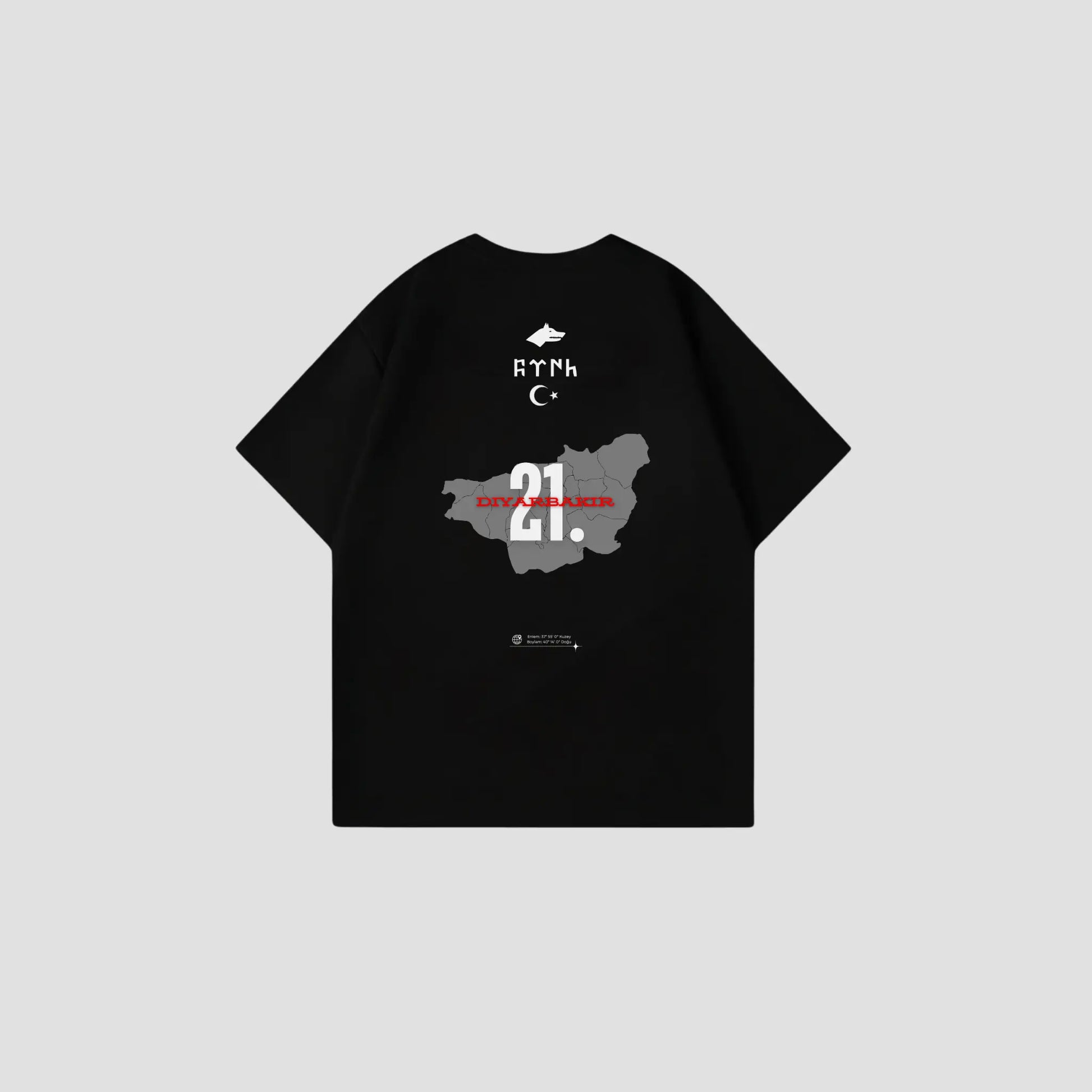 DIYARBAKIR 21 - Oversize Shirt Backprint Printegy
