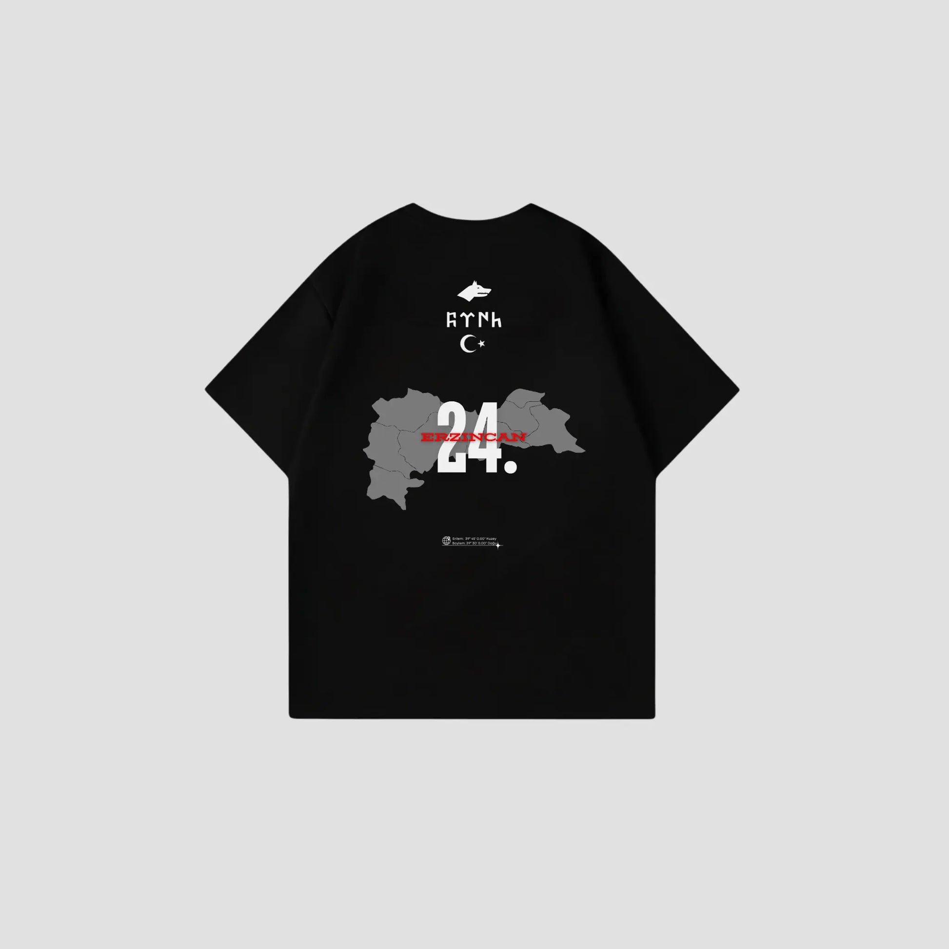 ERZINCAN 24 - Oversize Shirt Backprint Printegy