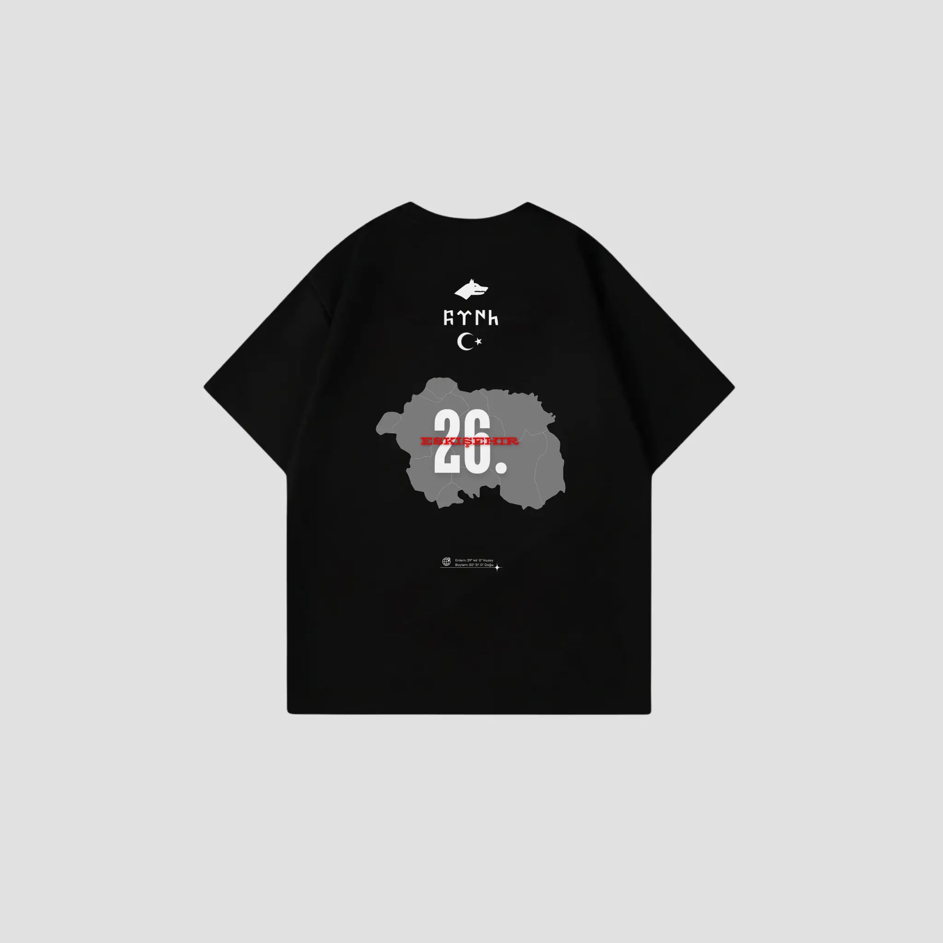 ESKISEHIR 26 - Oversize Shirt Backprint Printegy