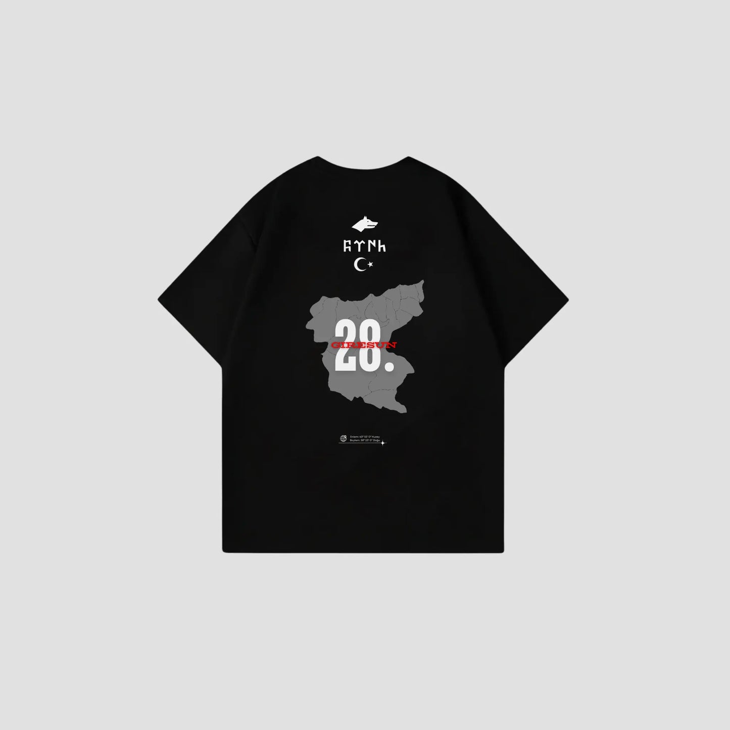 GIRESUN 28 - Oversize Shirt Backprint Printegy