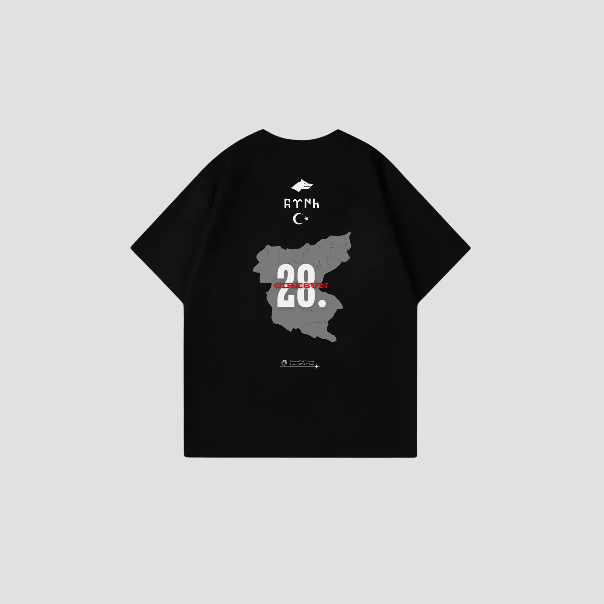 GIRESUN 28 - Oversize Shirt Backprint Printegy