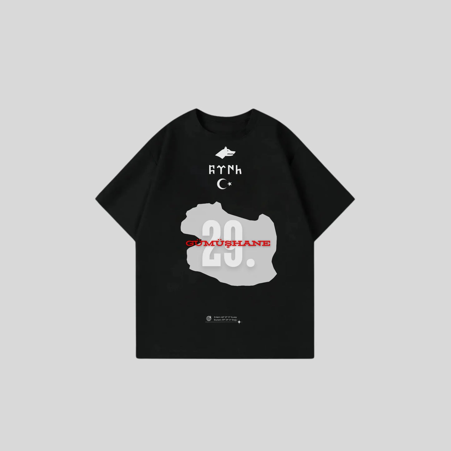 GÜMÜSHANE 29 - Oversize Shirt Frontprint Printegy