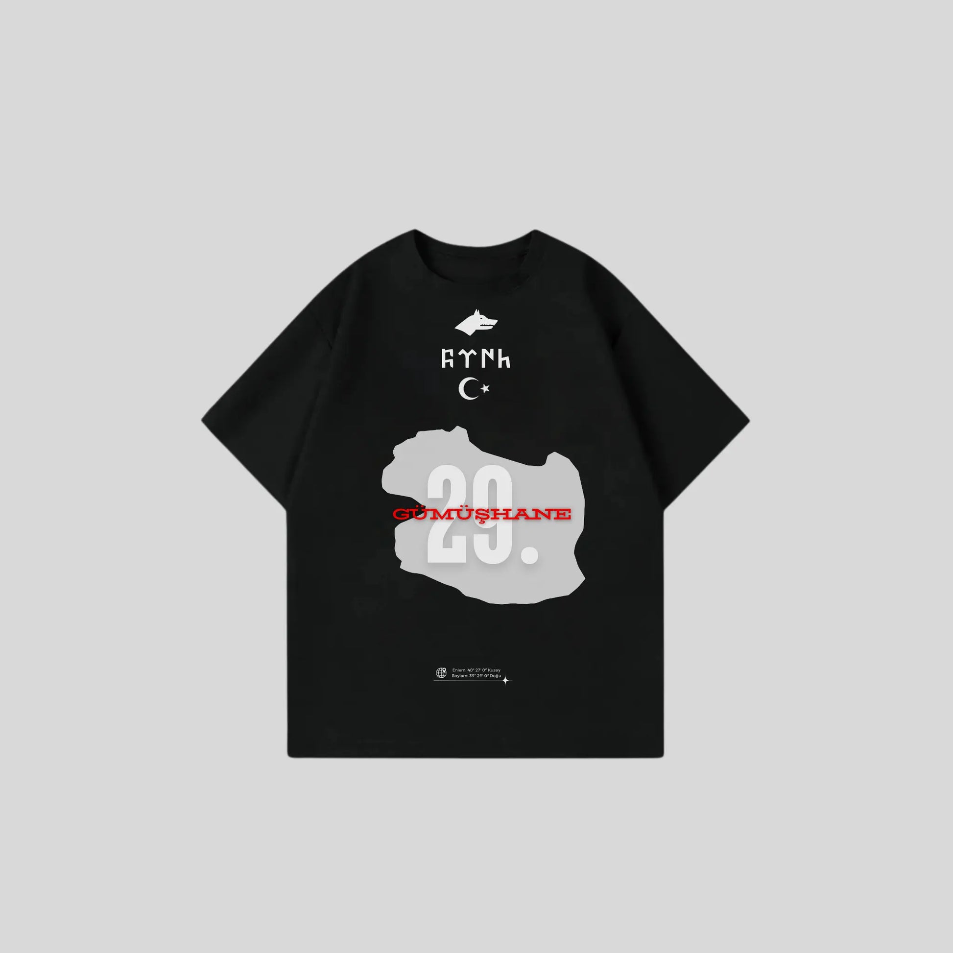 GÜMÜSHANE 29 - Oversize Shirt Frontprint Printegy