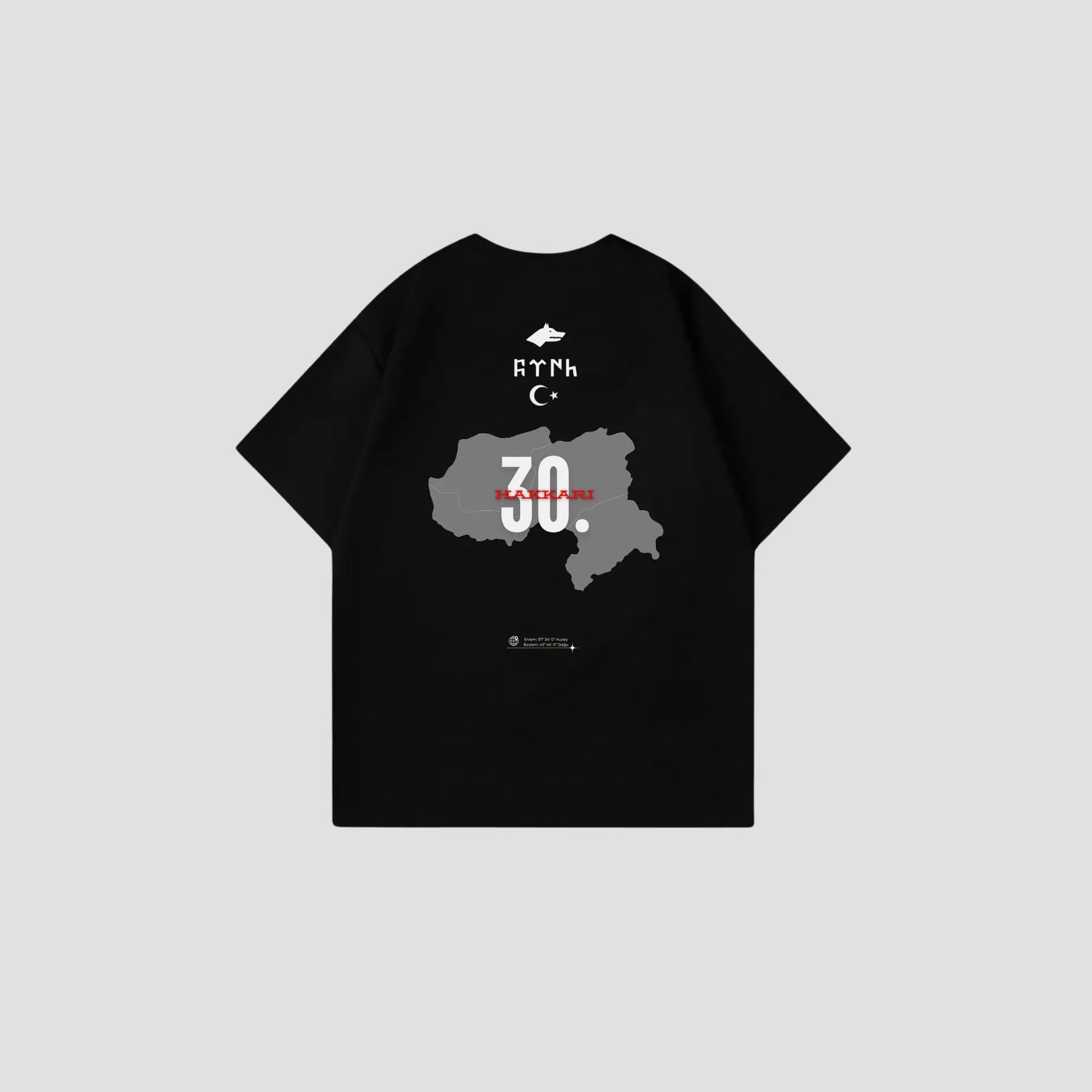 HAKKARI 30 - Oversize Shirt Backprint Printegy