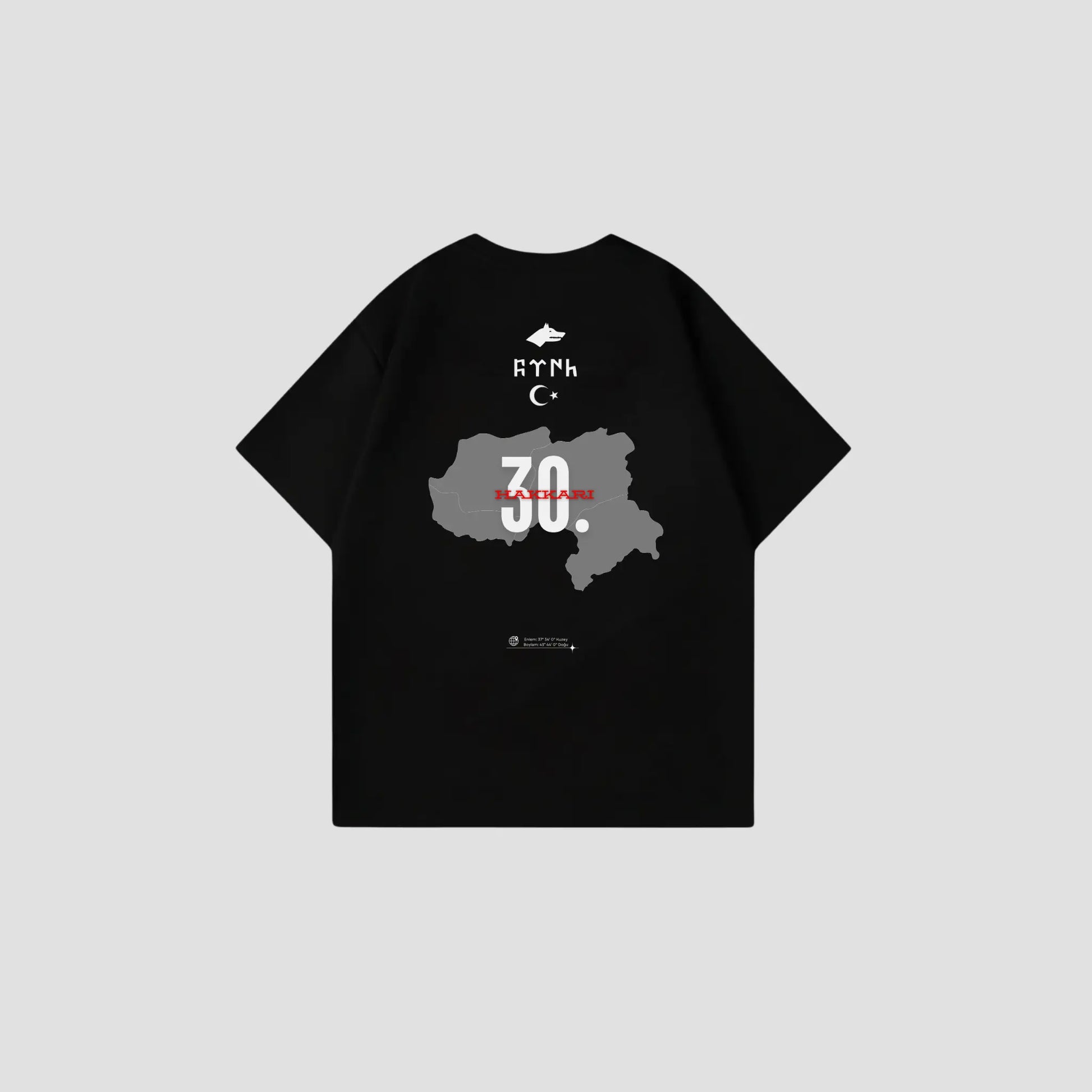 HAKKARI 30 - Oversize Shirt Backprint Printegy