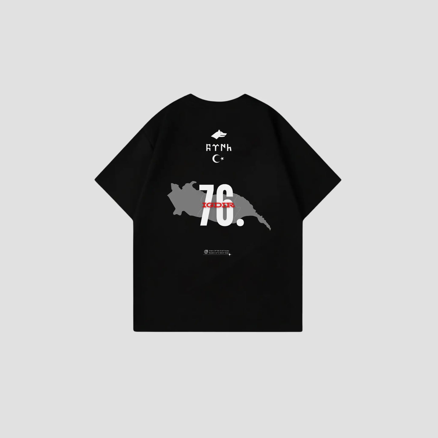 IGDIR 76 - Oversize Shirt Backprint Printegy