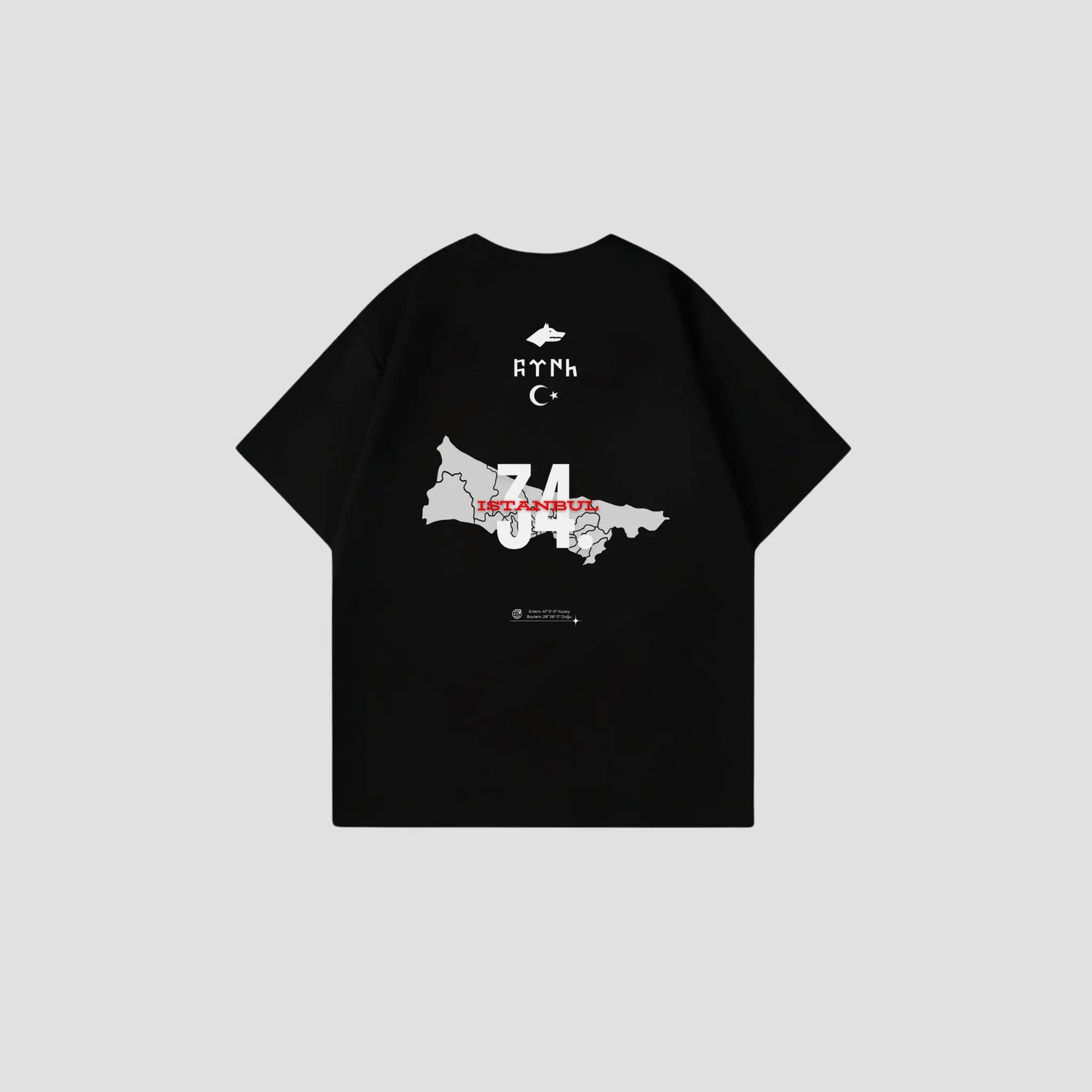 ISTANBUL 34 - Oversize Shirt Backprint Printegy