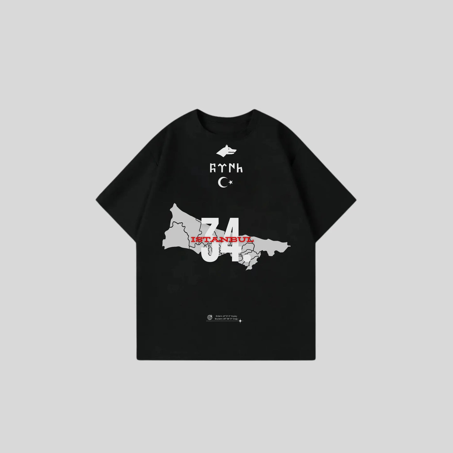 ISTANBUL 34 - Oversize Shirt Frontprint Printegy