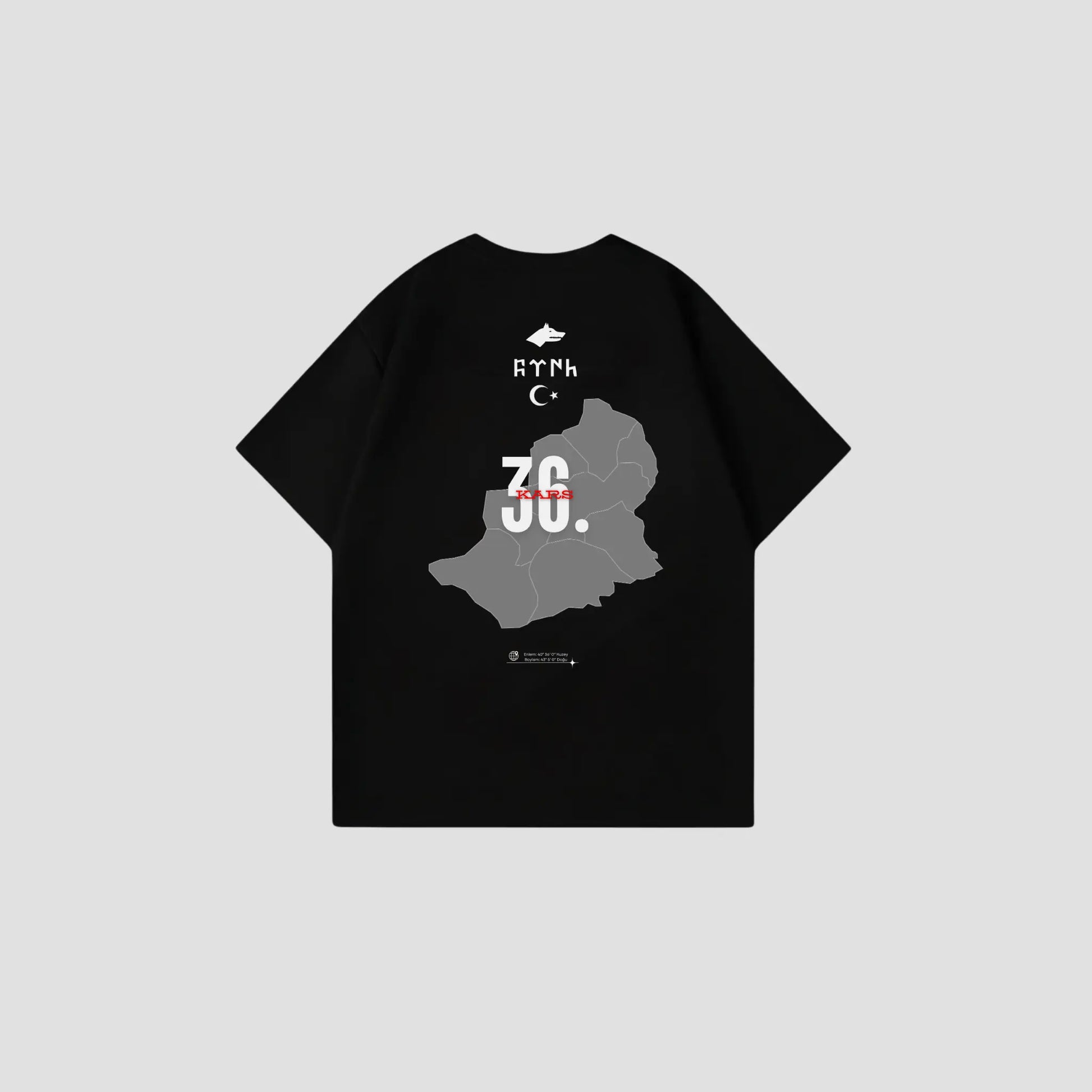 KARS 36 - Oversize Shirt Backprint Printegy