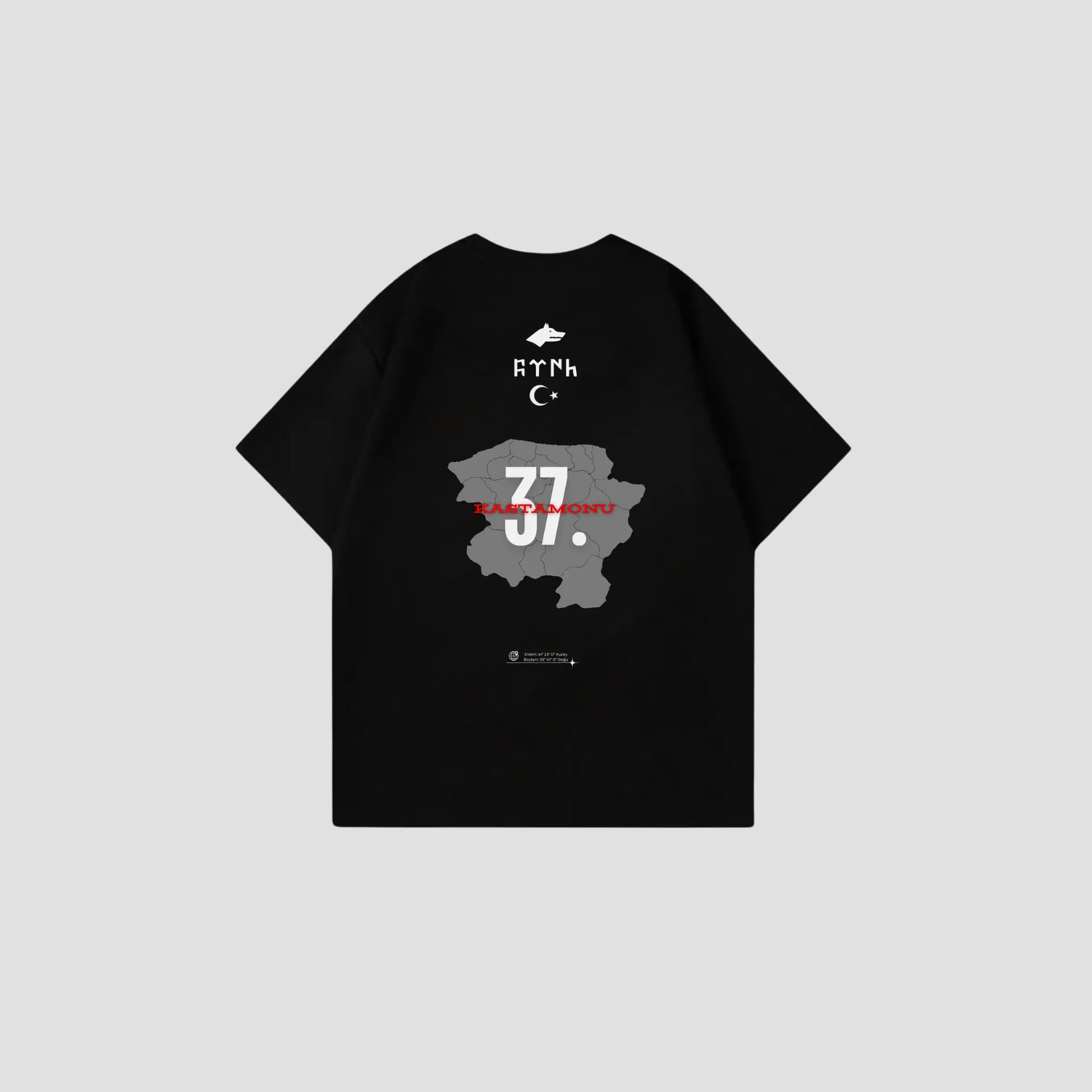 KASTAMONU 37 - Oversize Shirt Backprint Printegy