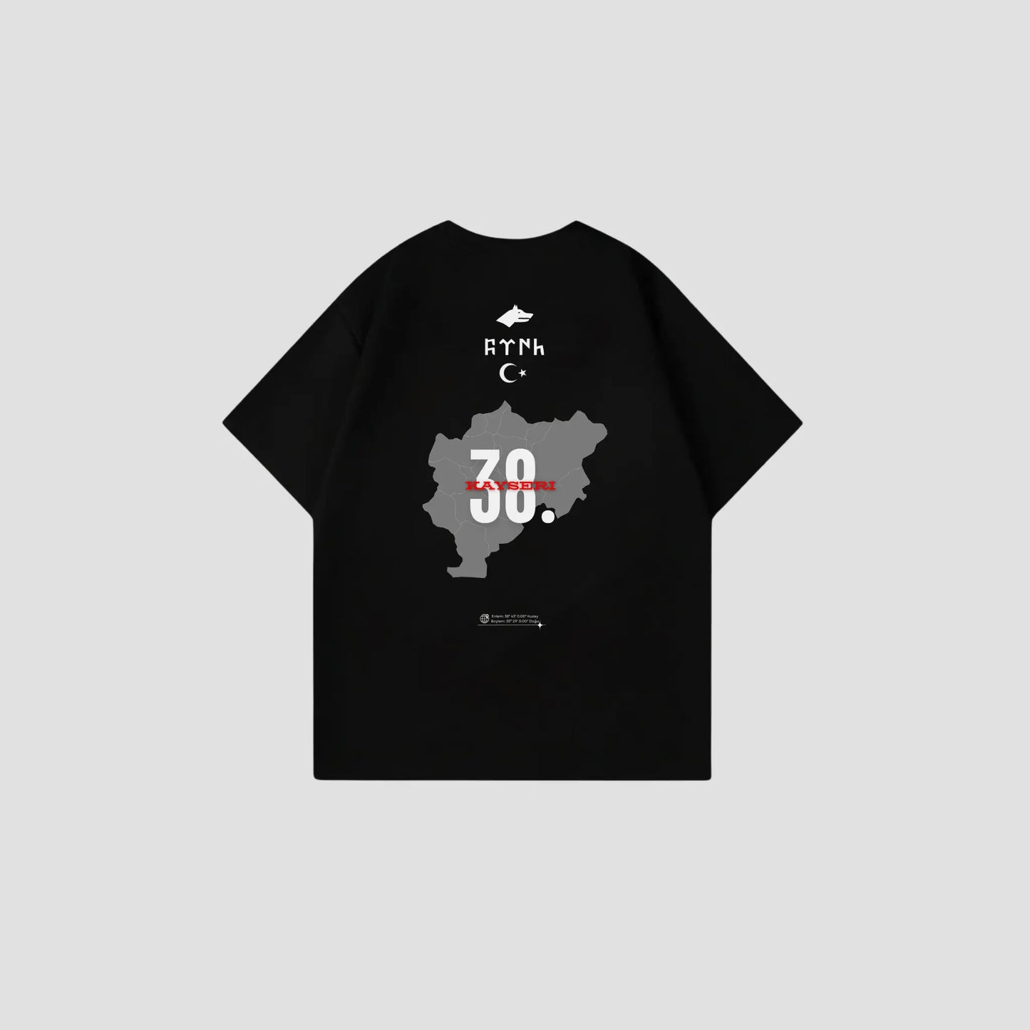 KAYSERI 38 - Oversize Shirt Backprint Printegy