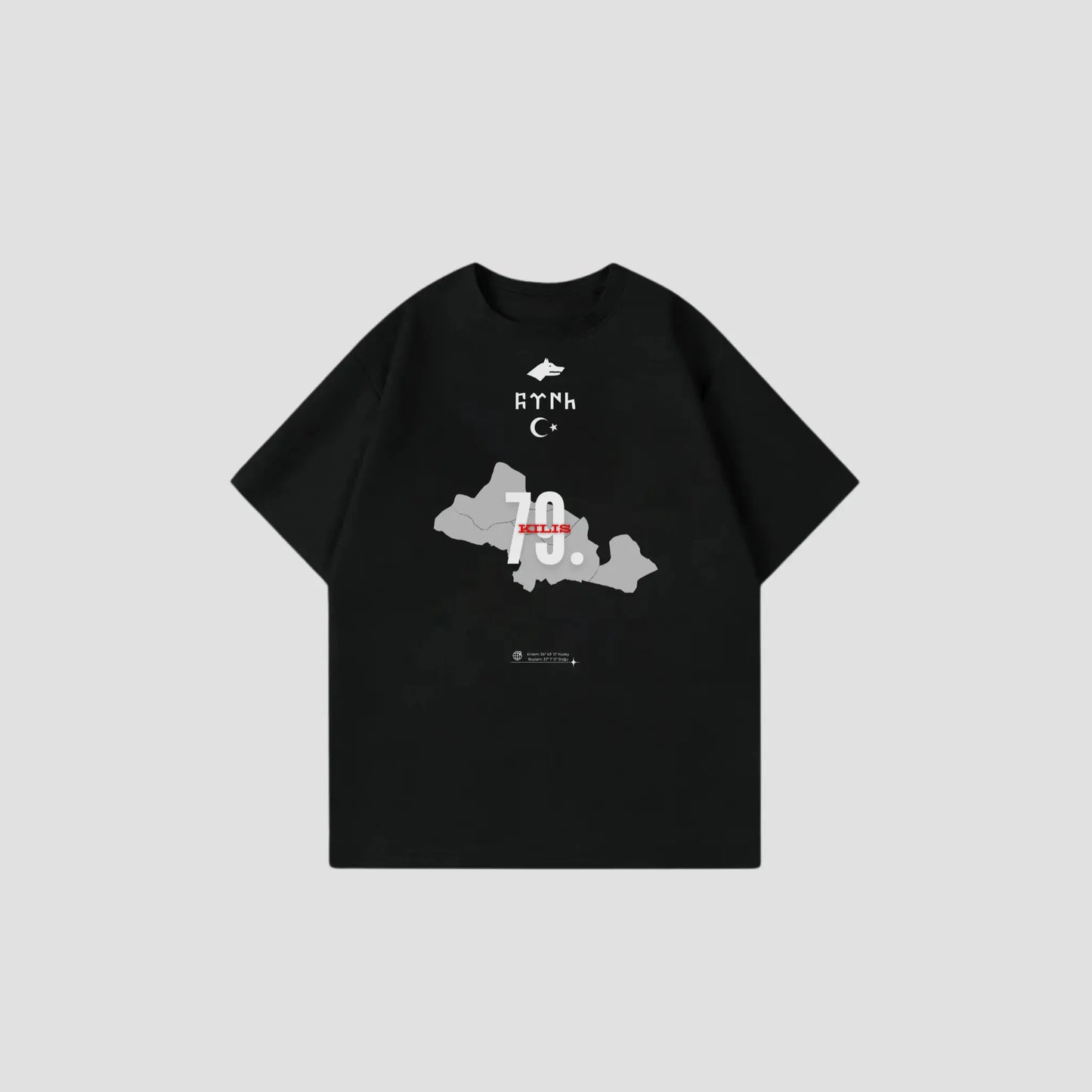KILIS 79 - Oversize Shirt Frontprint Printegy