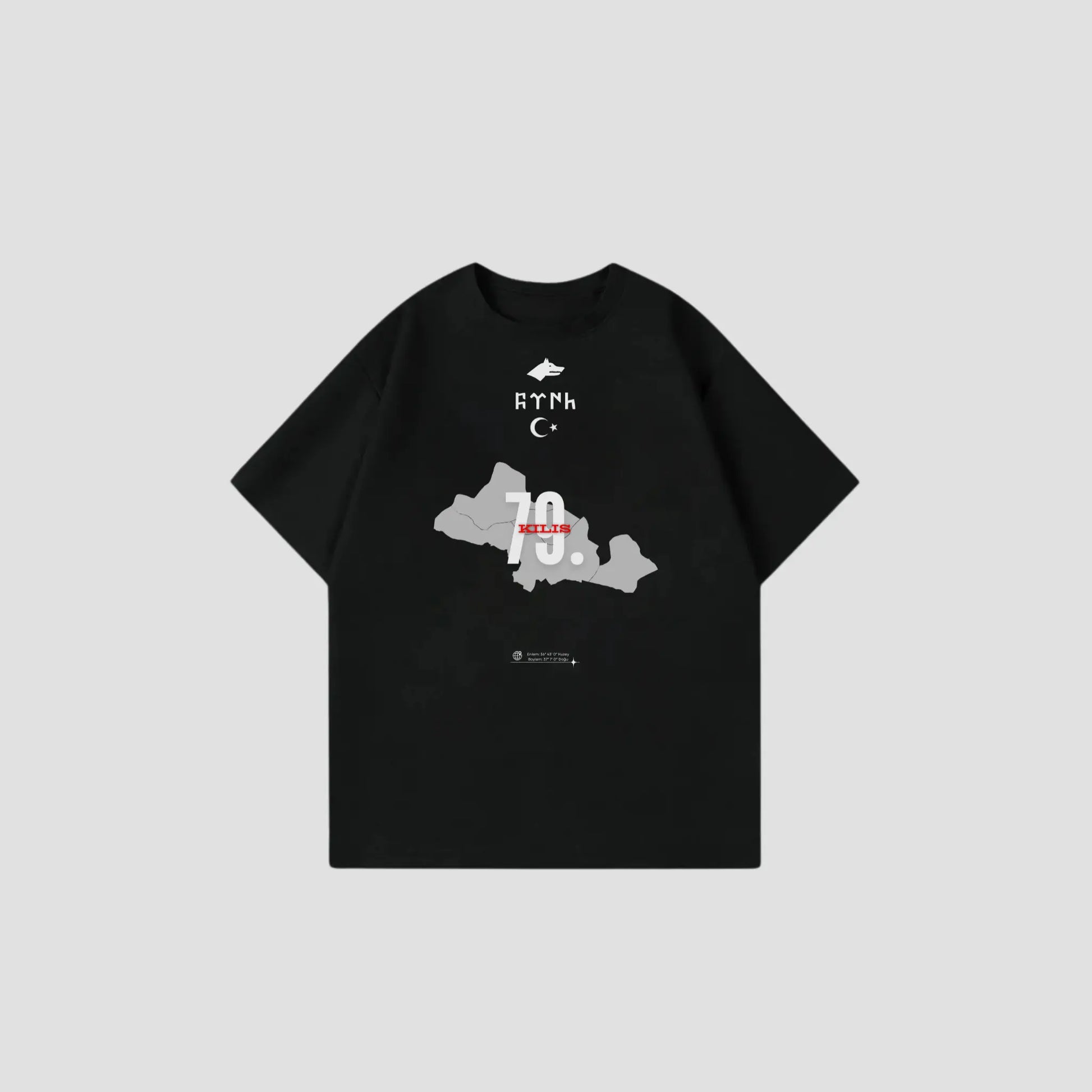 KILIS 79 - Oversize Shirt Frontprint Printegy