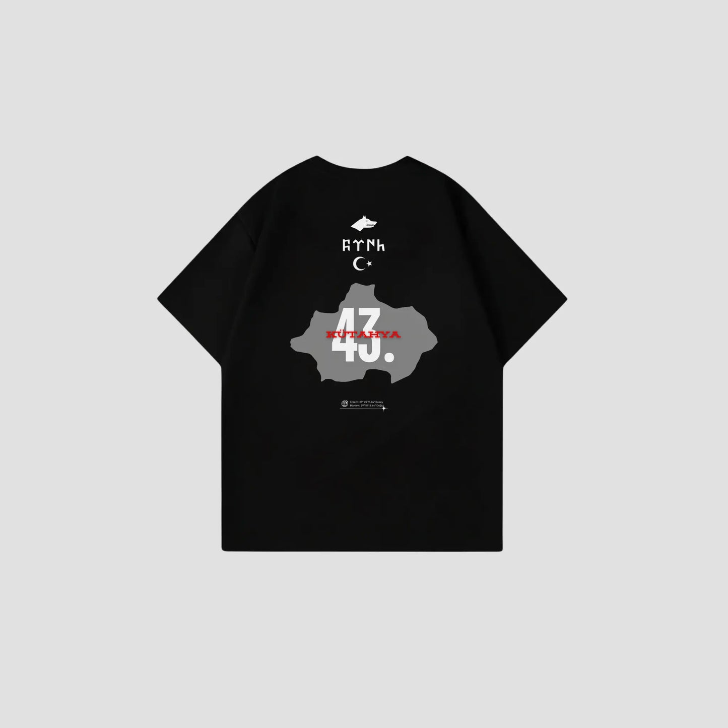 KÜTAHYA 43 - Oversize Shirt Backprint Printegy