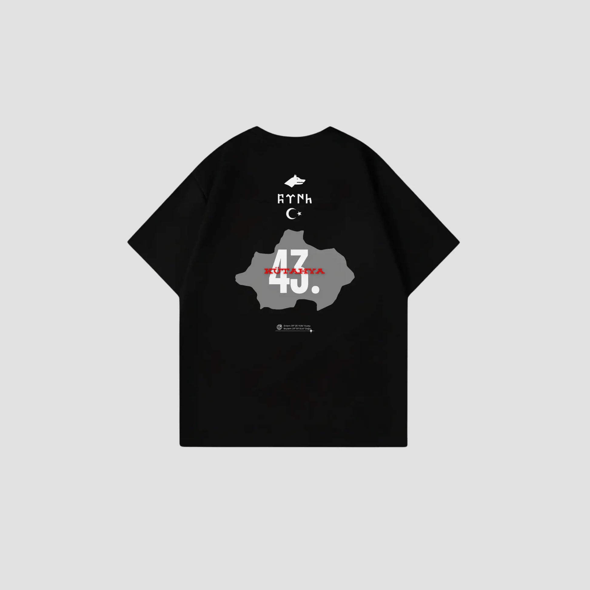 KÜTAHYA 43 - Oversize Shirt Backprint Printegy