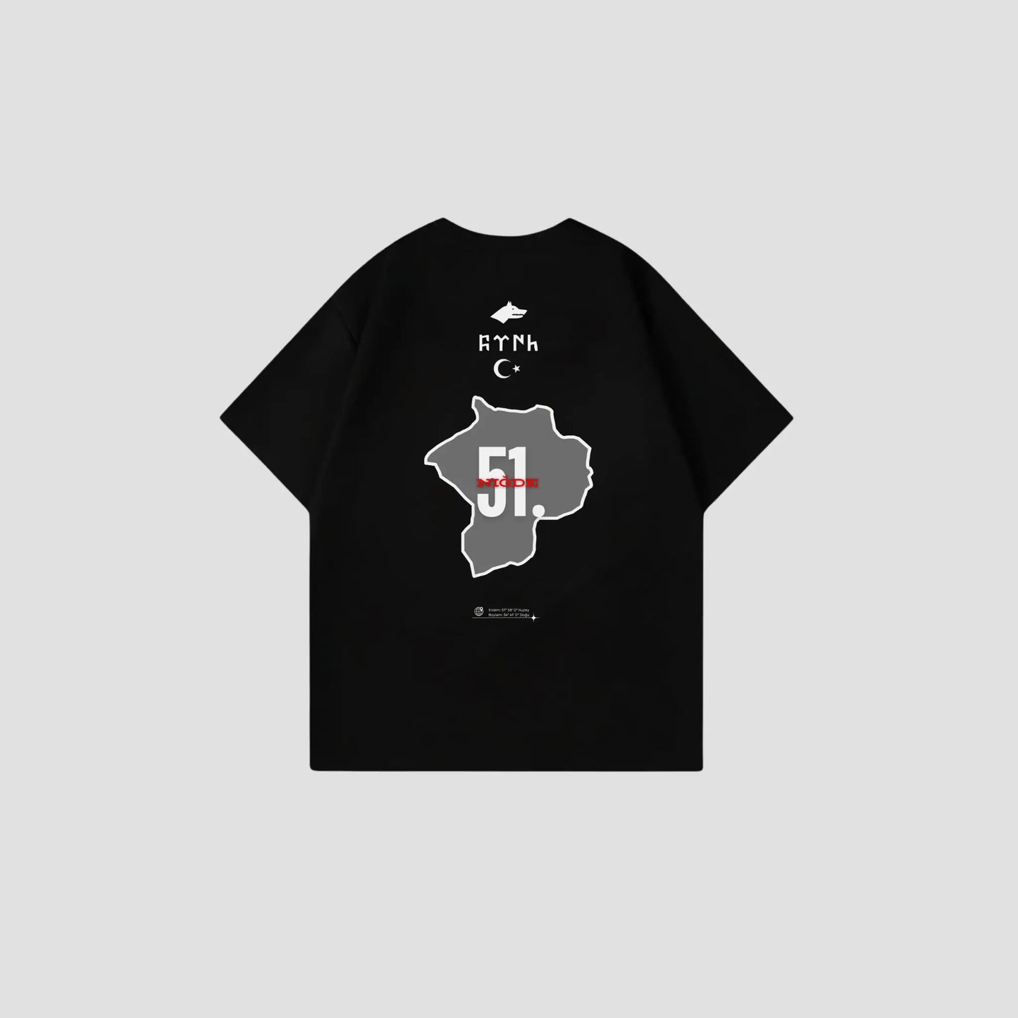 NIGDE 51 - Oversize Shirt Backprint Printegy