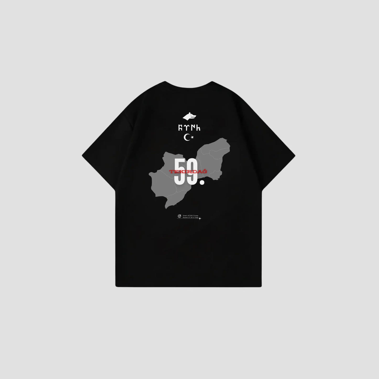TEKIRDAG 59 - Oversize Shirt Backprint Printegy