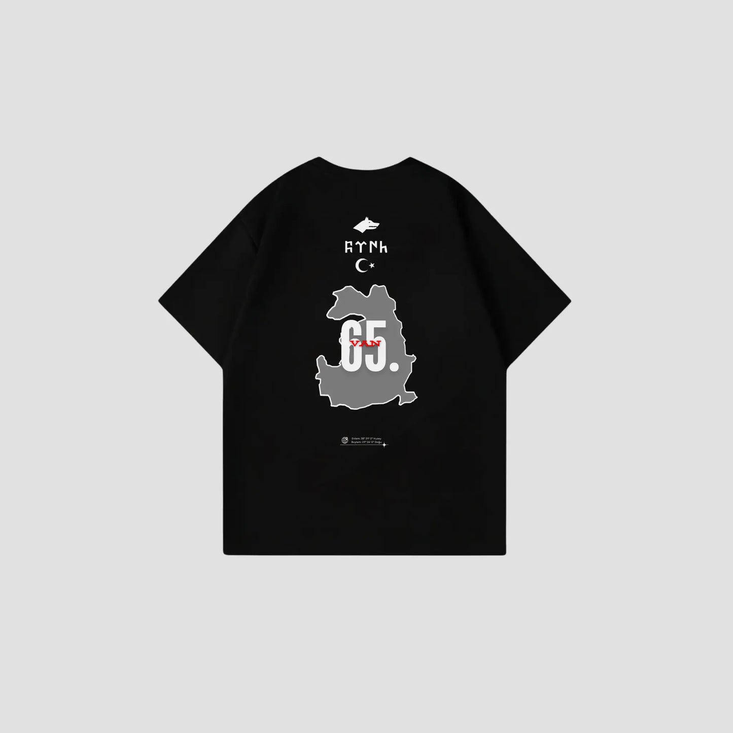 VAN 65 - Oversize Shirt Backprint Printegy