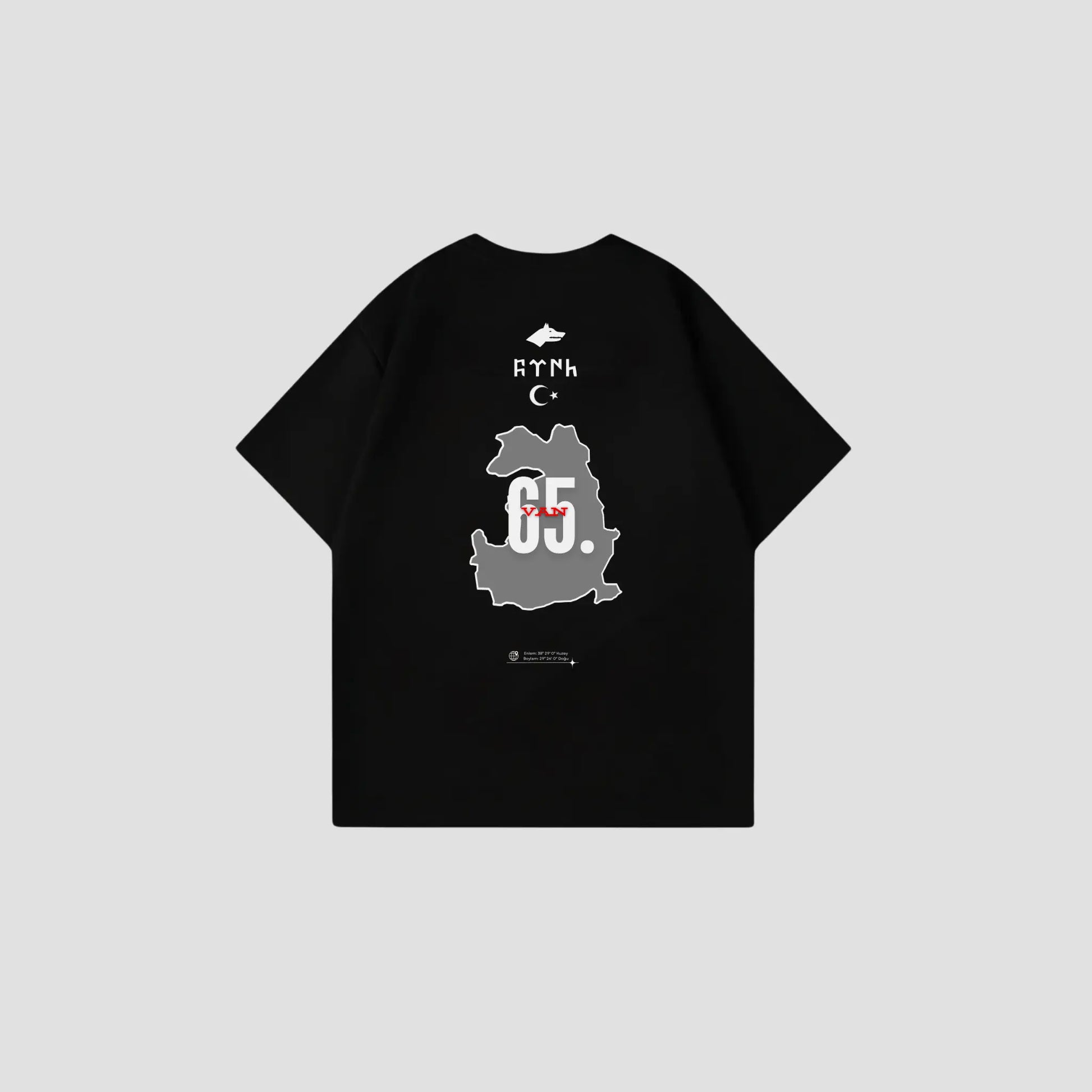 VAN 65 - Oversize Shirt Backprint Printegy