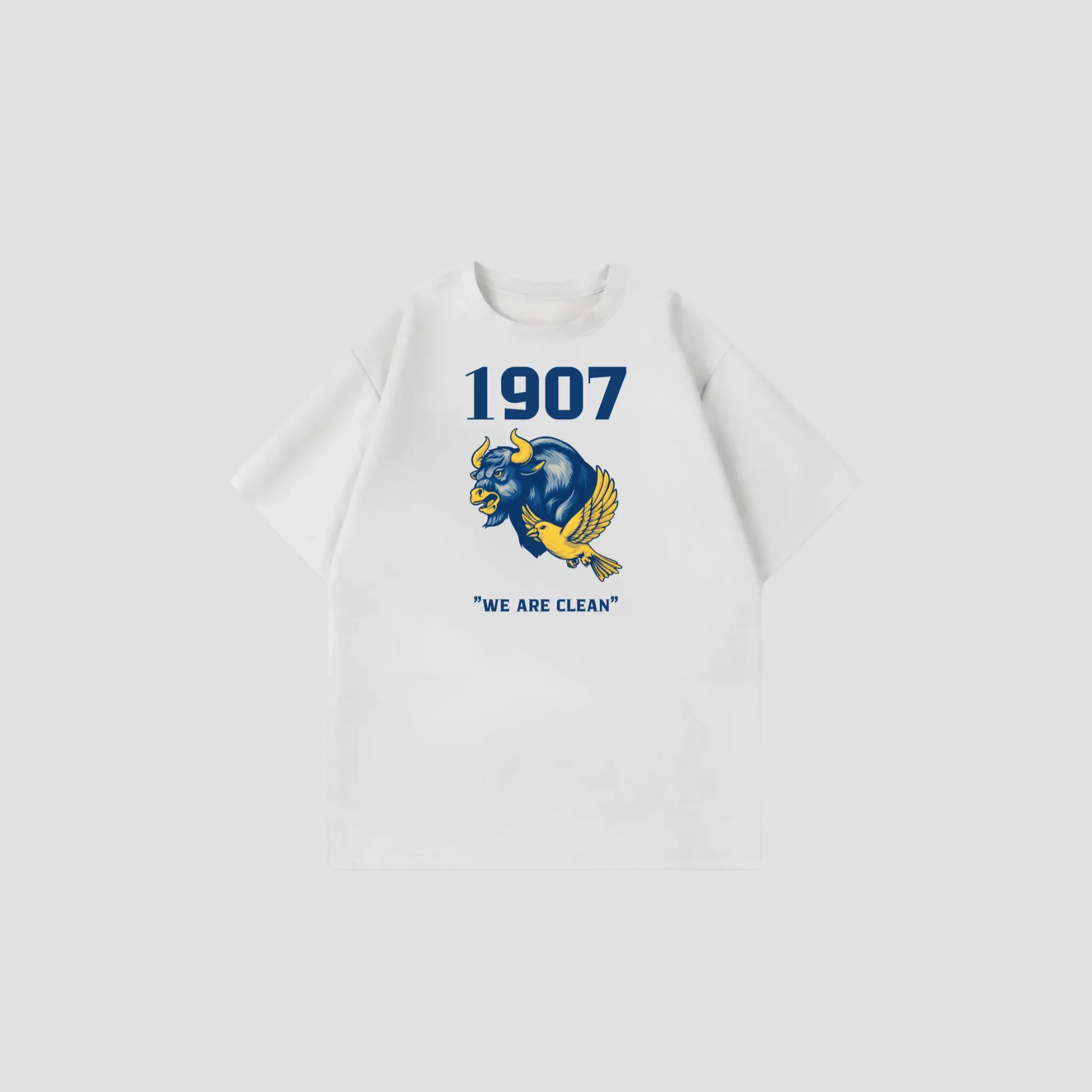1907 - Oversize Shirt Printegy